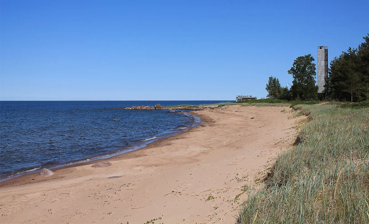 На пляжі в Естонії знайшли фрагмент українського дрона