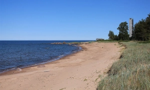 Хуліо Іглесіаса звинуватили у сексуальному насильстві