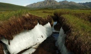 путін оголосив триденне перемир’я на честь 80-річчя «Дня перемоги»