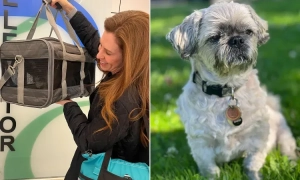 Лукашенко назвав, хто керуватиме країною після нього