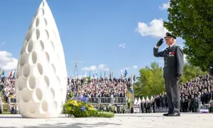 Виконавча служба змусила kp.ua прибрати фейковий матеріал про Альону Шевцову