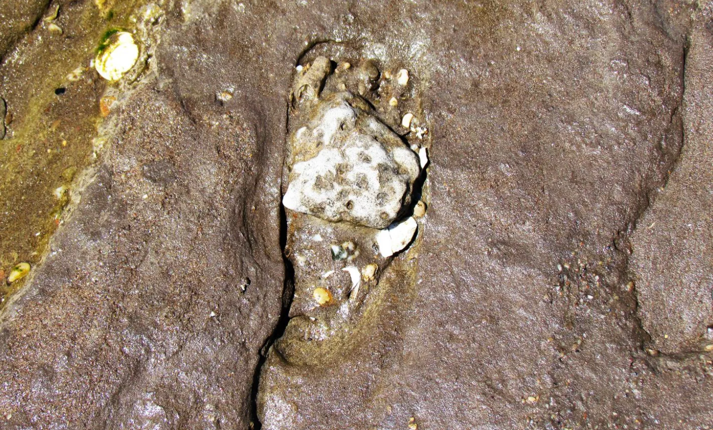 Люди прийшли до Америки набагато раніше, ніж вважалось, — вчені