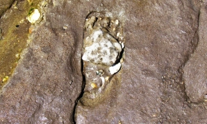 Люди прийшли до Америки набагато раніше, ніж вважалось, — вчені