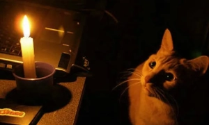 Кабмін має намір вирівняти тарифи на тепло і гарячу воду