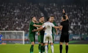 A Hungarian soccer club included 11 stray dogs on its roster for a match