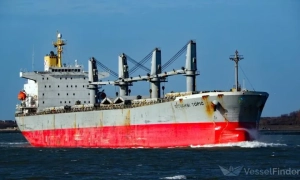 В Україні загинули ще двоє бійців «Грузинського легіону»