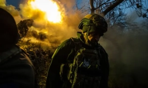 Черепаху-втікачку знайшли через декілька років після втечі