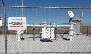 Земана вдруге випишуть із лікарні і в неділю він призначить нового прем'єра Чехії