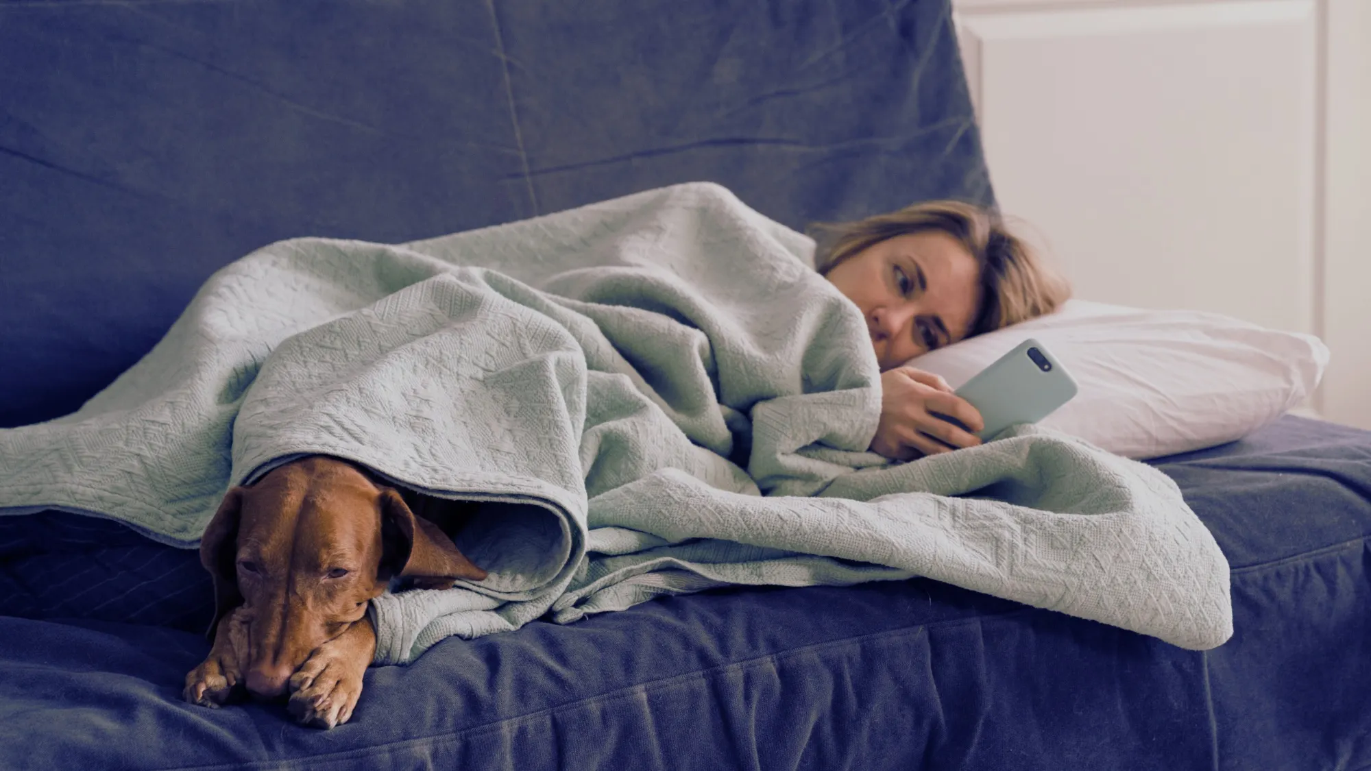 Похмелье від дружби: як соцмережі витягують сили більше, ніж алкоголь