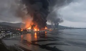Розробник «Новічка» прогнозує масове отруєння росіян через пожежу в Туапсе