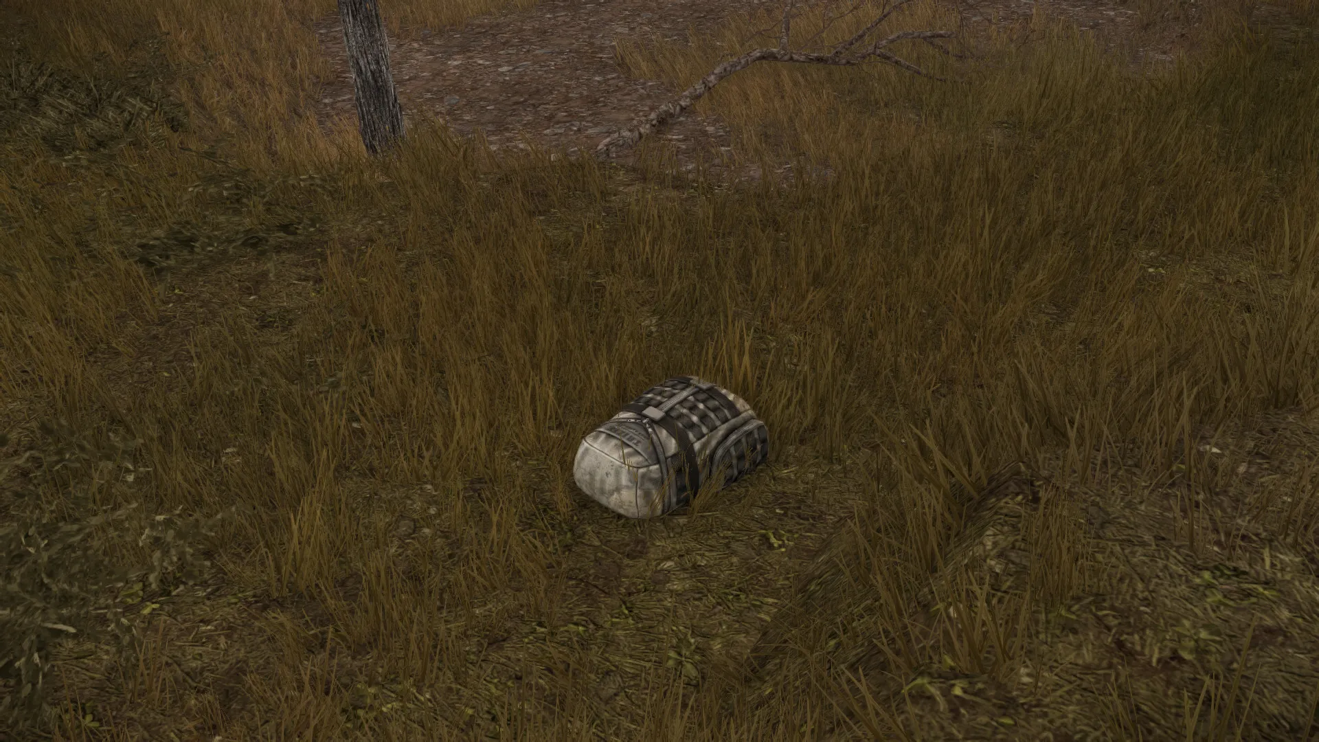 У РФ повідомили про виявлення у Бєлгородській області схрону ЗСУ