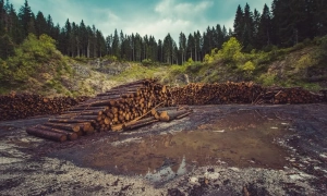 Відео: Дрони СБУ знищили склад боєприпасів окупантів на Донеччині