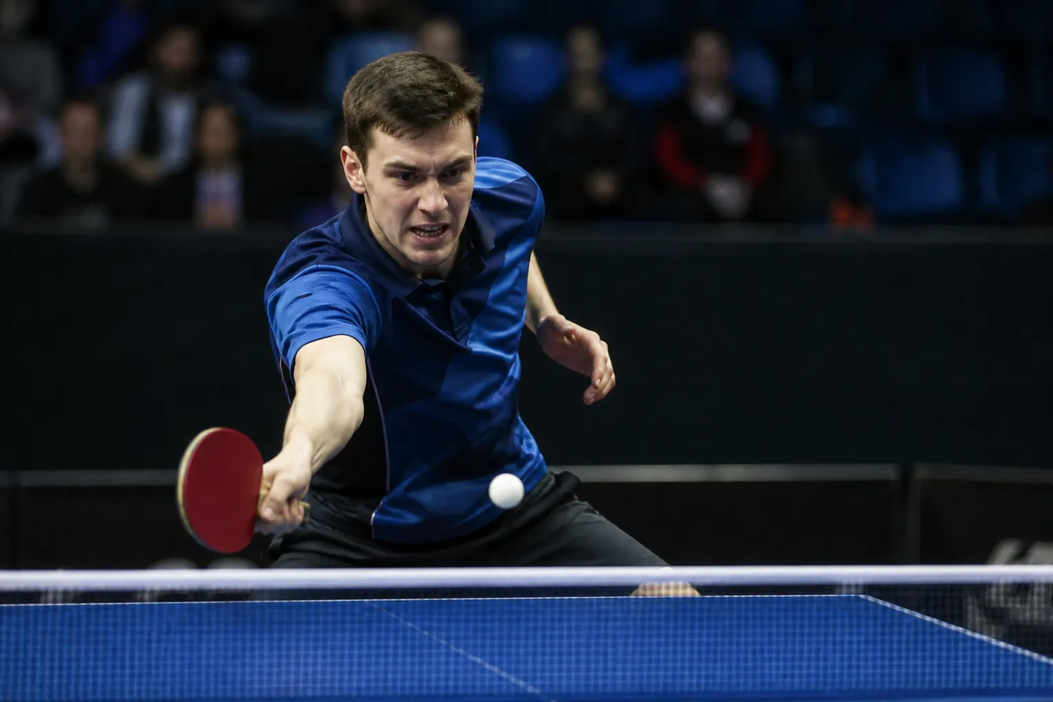 王楚晴在ITTF世界排名中继续稳居榜首