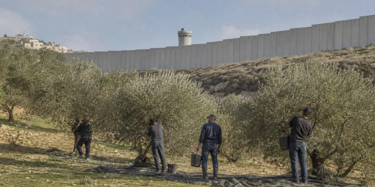 Rights group reports confiscation of vehicle and olives in West Bank — Anadolu Agency
