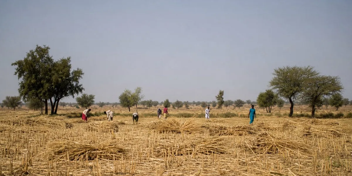 Drone strike in West Darfur kills at least 10 civilians — The Rio Times