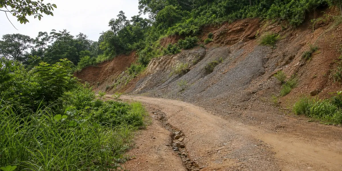 Weto Platform称加纳道路工程造成环境损害 — MyJoyOnline
