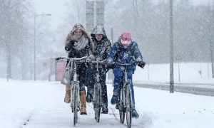 Екоактивісти в Гаазі напали на картину Вермера