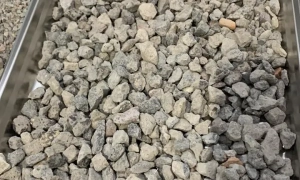 У Тернополі серед руїн зруйнованої рф багатоповерхівки знайшли папугу