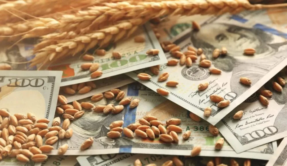 Світові ціни на пшеницю зросли на 30% через перебої з експортом у Чорному морі
