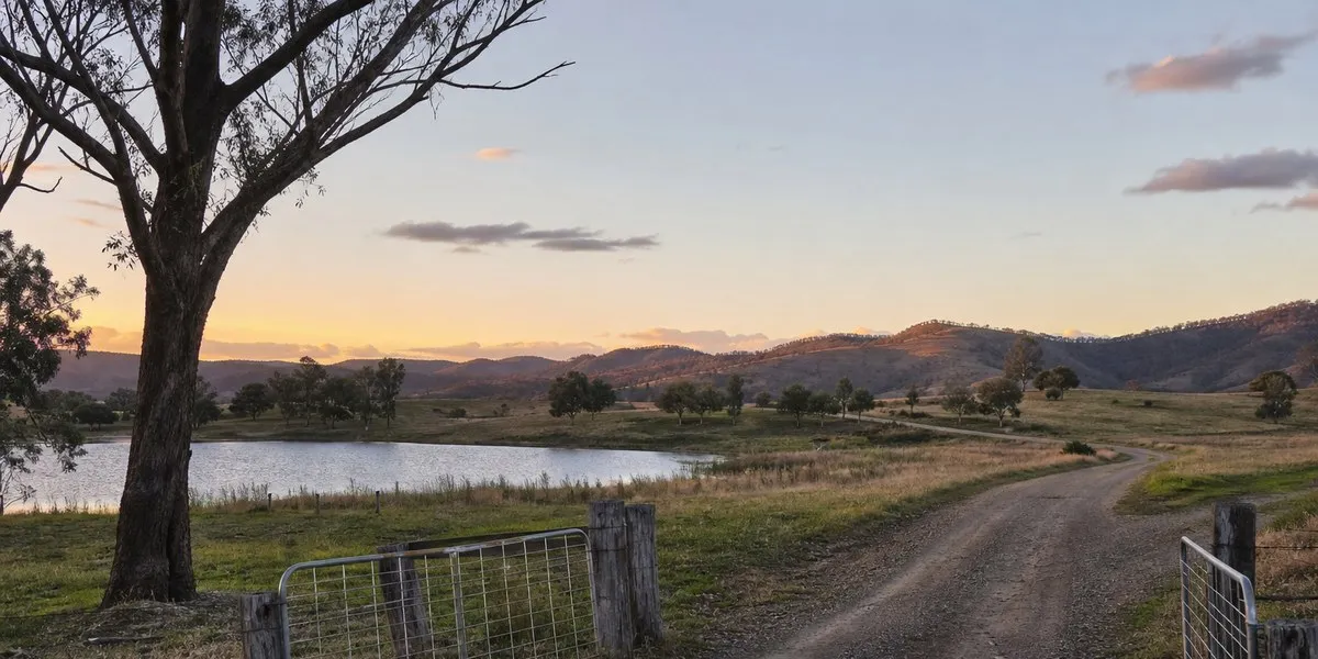 Gh Abc Witness recounts Lamarre-Condon’s farm trip in Australia | UA.NEWS