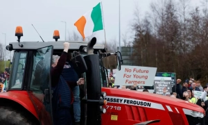 Польщею прокотилася негода: зірвані дахи, поламані дерева