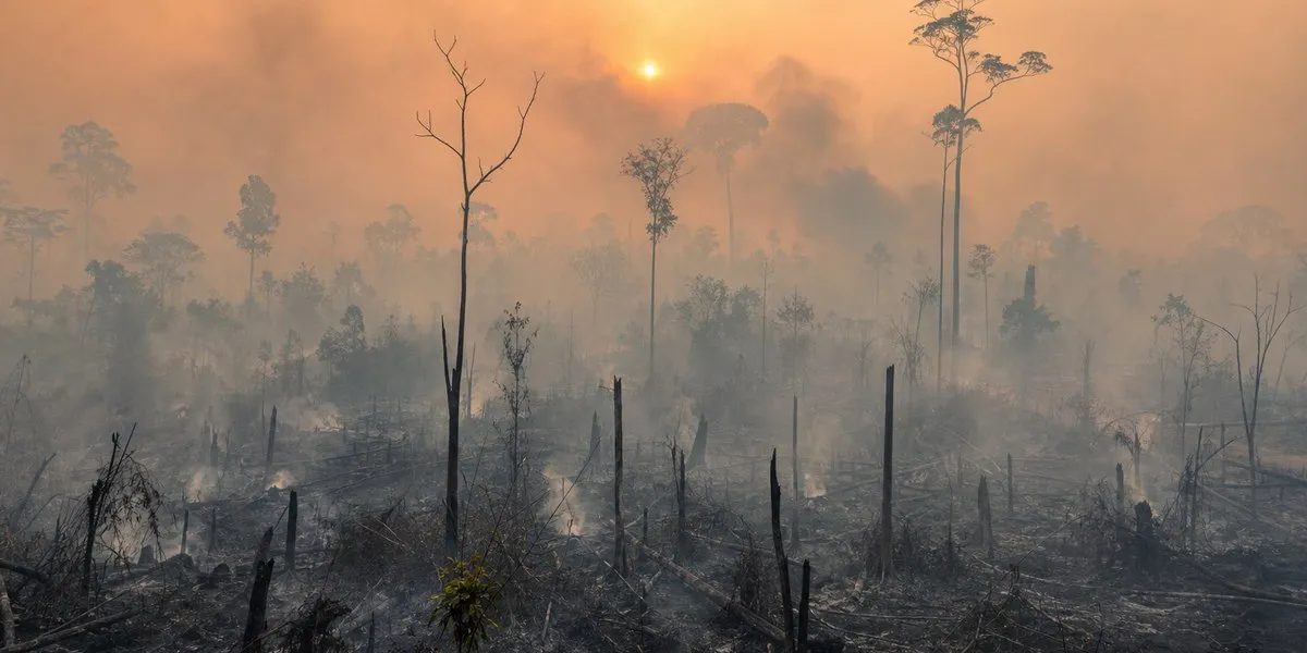 WMO says El Niño will intensify through December — Bangkok Post