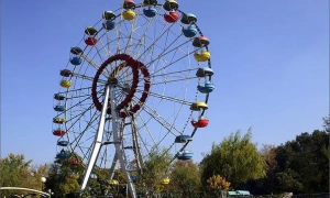 У дитсадках Київщини стався спалах кишкової інфекції