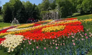 В Киеве на «Поле песен» открылась цветочная выставка с котиками