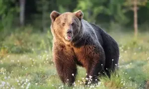 Відео: у Туреччині прогримів вибух на заводі з виробництва ракет, є загиблі