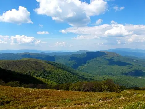 АРМА скасувало продаж 460 га земель на Боржаві через зв’язки покупців із рф