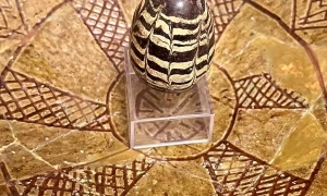 Університети в США посилюють політику проти антисемітизму – ЗМІ