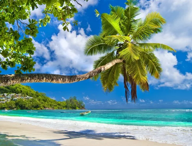 Мальдивы запретили курение для людей, родившихся после 2007 года