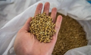 Молдовський інвестор «Укспирту» виграв суд проти України