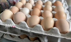 Агентство відновлення поставило на паузу будівництво захисних споруд навколо підстанцій