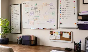 Ученые нашли клетки, выживающие после запуска апоптоза — ScienceDaily