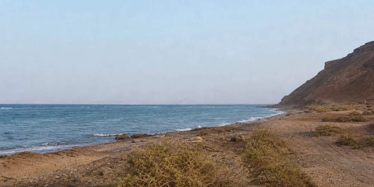 Силы правительства Йемена заявили о захвате района Дубаб — Al Jazeera