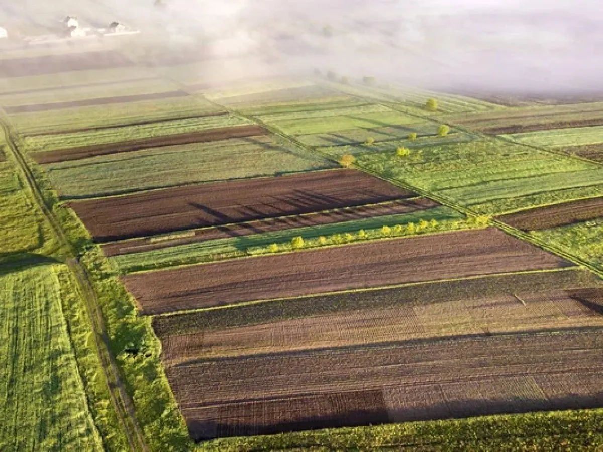 ФДМУ планує майже вдвічі розширити Земельний банк і збільшити надходження до бюджету