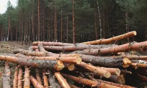 Норвегия профинансирует украинскую медицину и реабилитацию военных