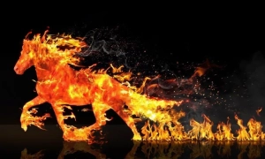 МЗС готує телефонну розмову Байдена і Зеленського