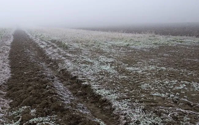 У ніч на 15 квітня в більшості областей України очікуються заморозки