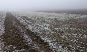 Українці відповіли на питання щодо територіальних поступок для завершення війни