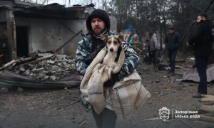 Російські війська обстріляли Запоріжжя, пошкоджено будинки та собачий притулок