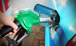 Сеть АЗС Glusco сдает свои заправки в аренду