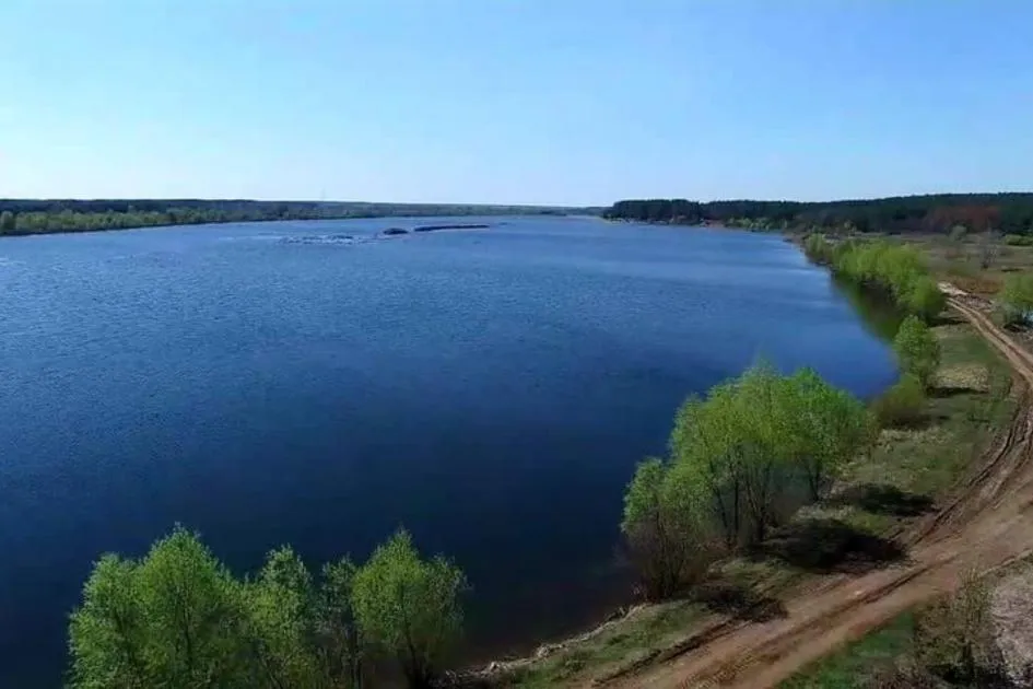 На Київщині зафіксували масовий мор риби