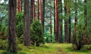 Вчитель з Києва увійшов до списку 50 найкращих педагогів світу