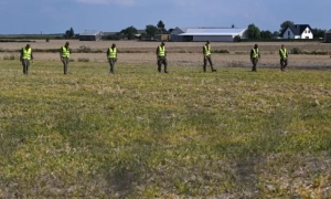 Названа сума збитків від заборони на імпорт продовольства України до ЄС 