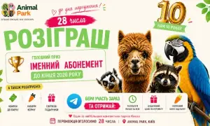 У Києві проведуть шкільну реформу за 105 млн грн
