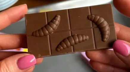 В Україні з'явився шоколад з личинками жуків В Україні з'явився шоколад з личинками жуків