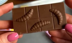 Рада зупинила перейменування низки міст: яких саме