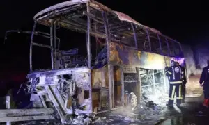 Туреччина запропонувала Японії масове виробництво дронів